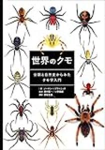 虫って殺せる？俺は蜘蛛は逃す